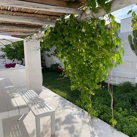 Ideal Guest house