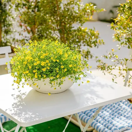 Ideal Guest house