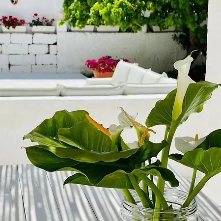 Ideal Maison d'hôtes Porto Cesareo
